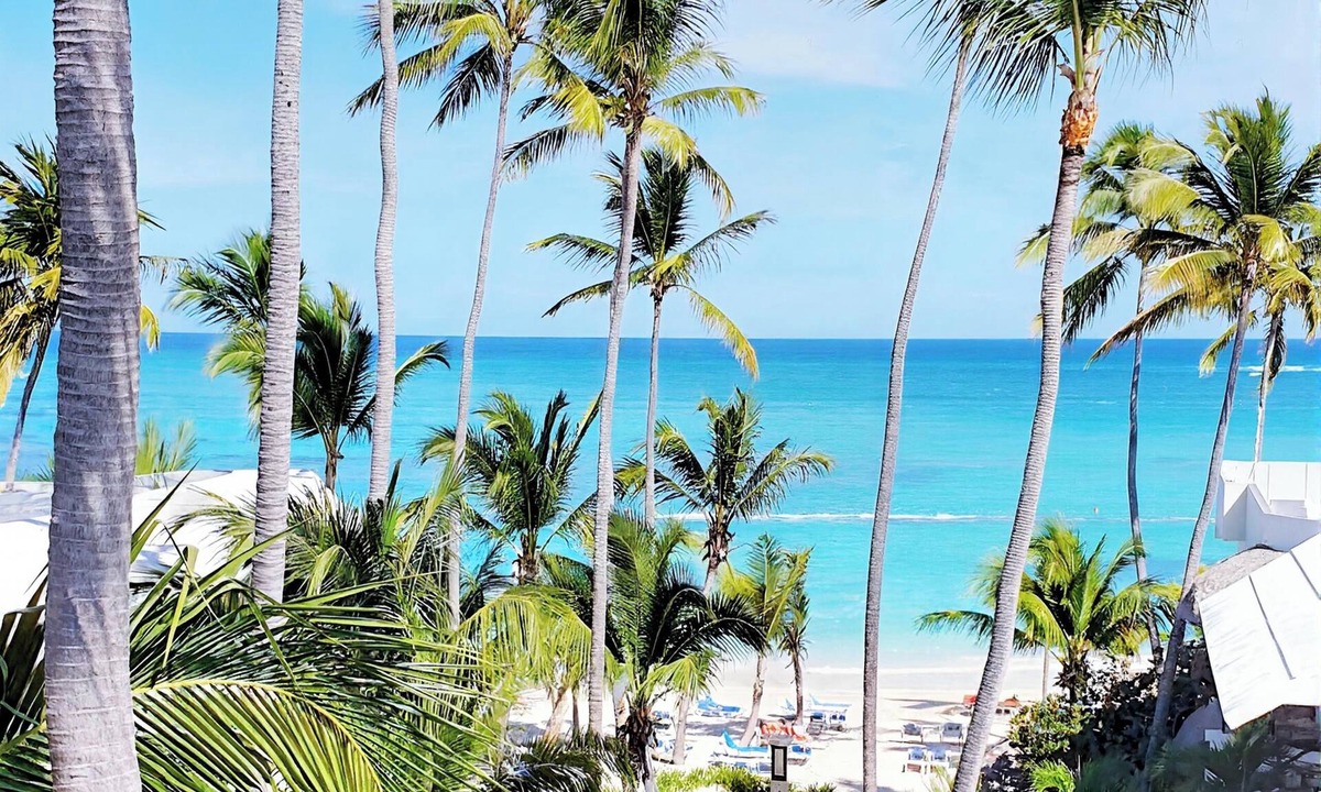 El Cortecito Condo | 14BR Spacious Multi-Unit Retreat with Rooftop Plunge Pool - Walk to Beach +Bonus