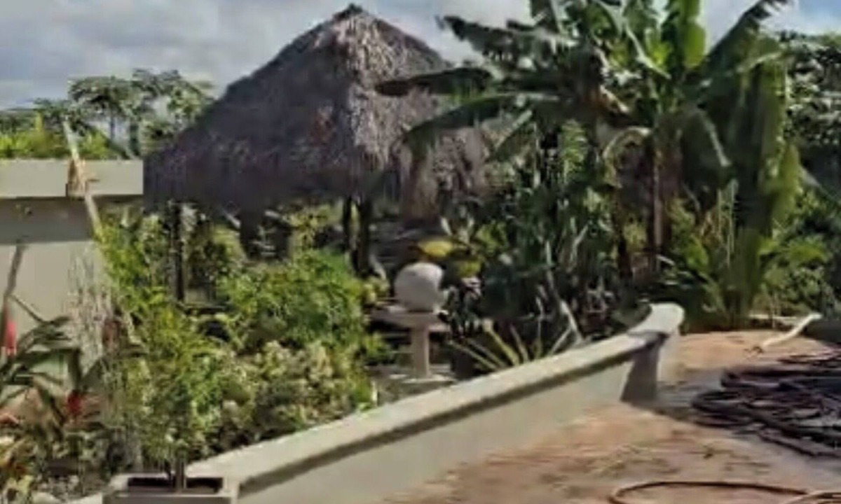 Las Terrenas House | 8 BR Private Ocean View and Jungle Estate with Pools &