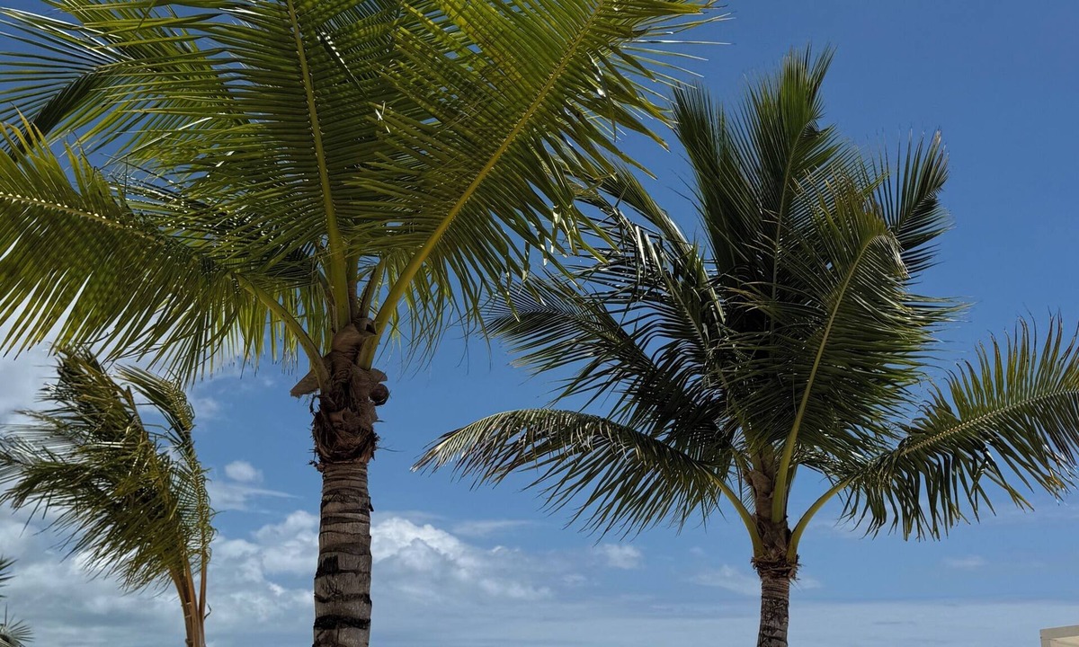 Bayahibe Apartment | Antigua 304 Luxury Beachfront Penthouse with Rooftop Jacuzzi Aqua Esmeralda