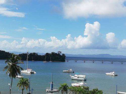 Barrio La Fortaleza Vieja Apartment | Apart cercano al muelle y al malecón de Samana