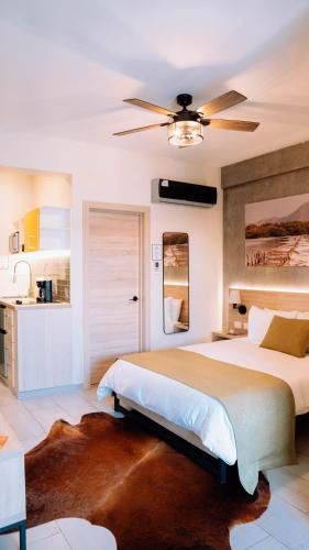 Zona Colonial Apartment | Casa Adefra Boutique Hotel Zona Colonial