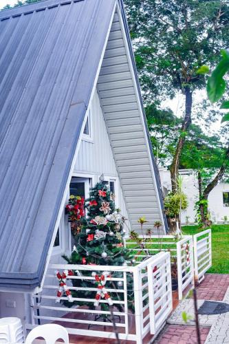 Hermosa House | Cozy A Cabin Escape Your Tranquil Getaway Awaits