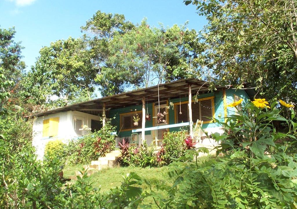 Las Terrenas Cabin | Ecotopía Park