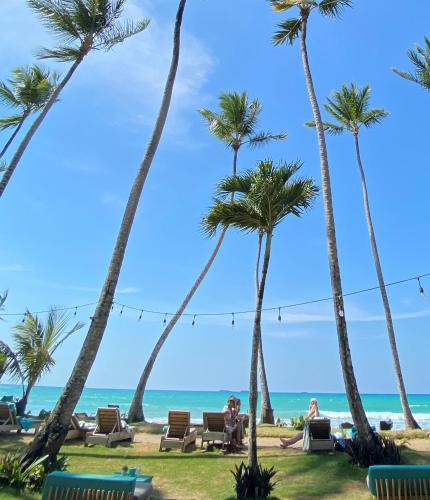 Las Terrenas Hotel | El Mosquito Boutique Hotel Playa Bonita