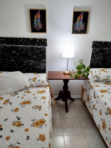 Pedernales House | Hotel El Almendro