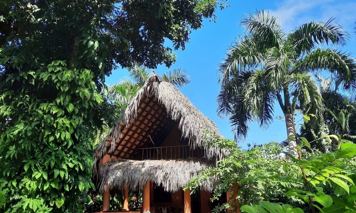 Las Galeras House | Palm-roofed house in the second row to the sea