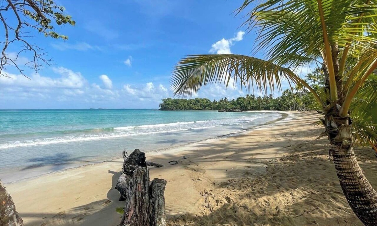 Las Terrenas Condo | ®{The~Beach~Place} @PlayaBonita +WalktoBeach+Pool