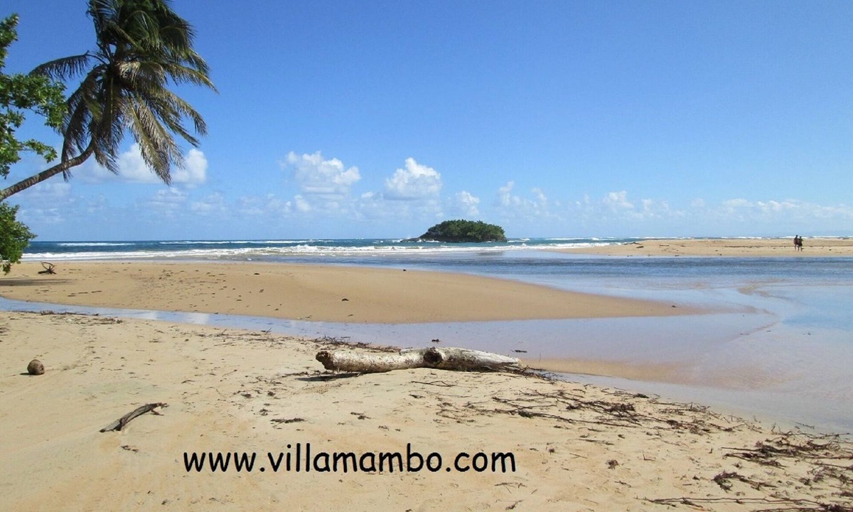 Baoba del Pinar Cottage | VILLA MAMBO, House only 2500 m. from Arroyo Salado beach