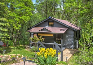 A hidden gem! Cabin nestled in the trees in Glenwood Springs. in Glenwood Springs