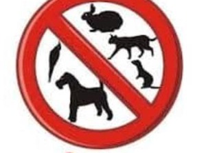 Cristina Cottages | Bacnotan