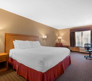 Olympic Inn 