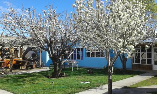 Los Antiguos Apartment | Lau-Fer Apartamentos