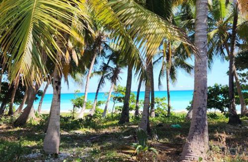 Paraiso Apartment | 2 Bdrm, 1 Bath, Wifi, Near River and Beach, 3R, Paraiso, Barahona