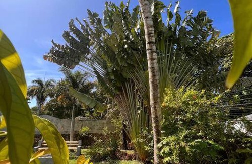 La Ceiba House | 2-bedroom Bonita cottage with pool
