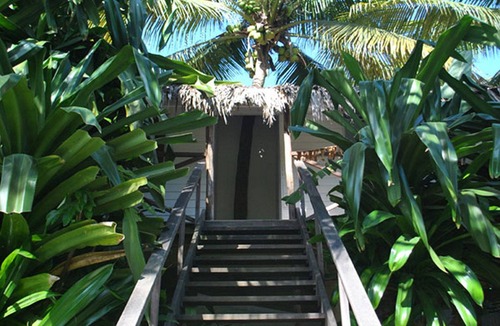 ProCab House | 2BD treehouse in lush tropical settings, near restaurants/shops/beach
