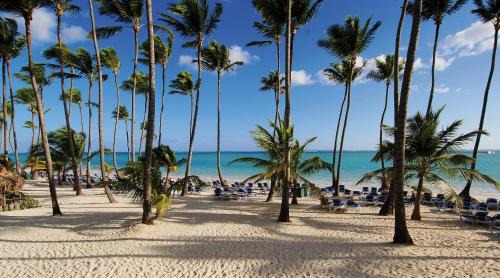 Playa Bibijagua Resort | Barceló Bávaro Beach - Adults Only All Inclusive