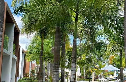 Boca Chica Villa | Boca Paraíso Villa: Steps to Pool & 2BR Comfort