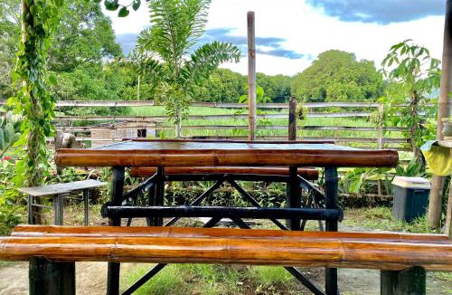 Lian Other | Campista's Cabin Campsite near the Beach