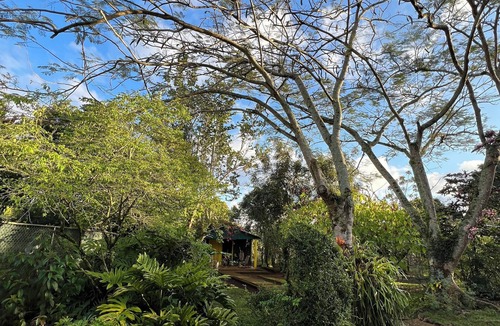La Joya House | CASA VILLA ANACAHUITA ideal to be in contact with nature.