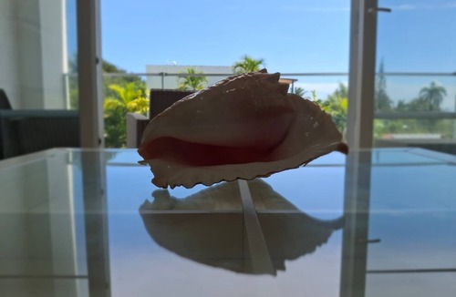 Cabarete Condo | Casa Tranquila at Swell