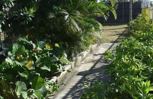 Boca Chica House | CASA TROPICAL BOCA CHICA CENTRO, RD
