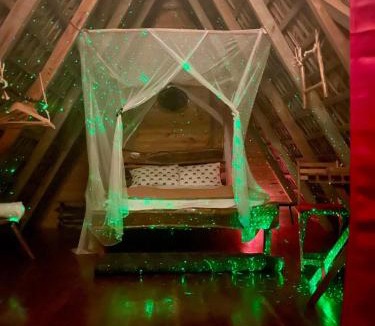 El Macao Other | Eco Lodges Chalets Tropicales Playa Macao