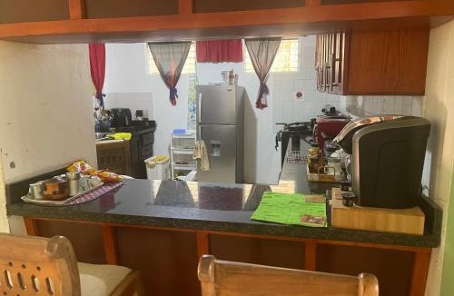Santiago Province Apartment | FredyGreenHouse