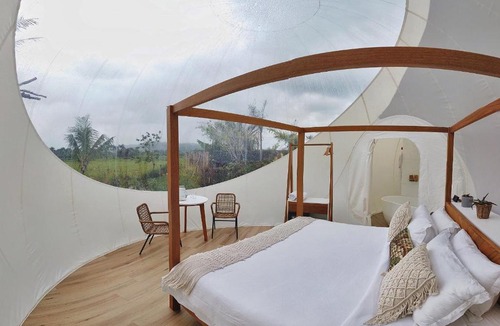 Sabaneta de Yasica Other | Green Land Bubble Glamping