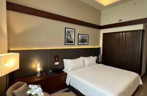 Yolanda Morales Hotel | Holiday Inn Santo Domingo by IHG