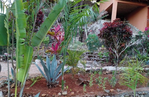 Las Galeras House | Homerez - House in Las Galeras
