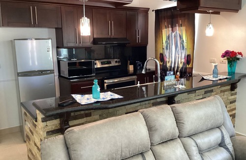 El Batey Condo | Ocean Front 1st FL Poolside 2bd/2ba Posh Condo^Playa Alisha Beach^