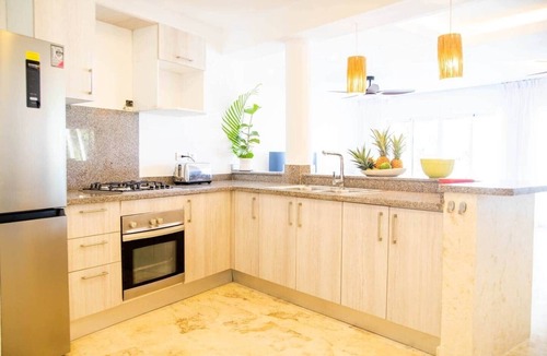 Las Terrenas Apartment | Oceanfront Penthouse: Playa Coson