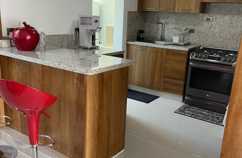 Santiago de los Caballeros Apartment | Penthouse with a private jacuzzi