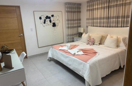 Downtown Santo Domingo Apartment | Stunning suite - 1 Bedroom Apartment with Rooftop Jacuzzi and Stunning View - 2 Guests