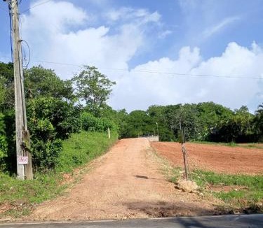 Las Terrenas Villa | Tranquil Villa Retreat in Las Terrenas - Pet-Friendly Haven