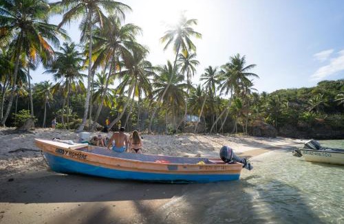 Samana Resort | Tree House Village - Waterfall