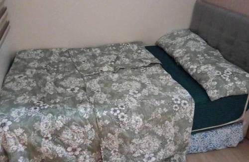 Novaliches Apartment | Trees Residences 1 Bedroom with Netflix and Bluetootth Karaoke Speaker with 2 mini Microphone