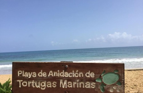 Las Terrenas Villa | Villa Buena Vista
