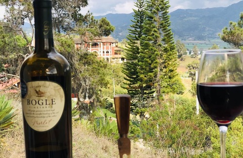 Constanza Villa | Villa & Cabin @ The Eagle Nest! Stunning view ! w/fireplace