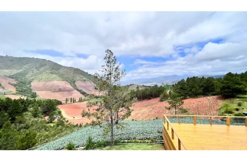 Constanza Villa | Villa los trillizo