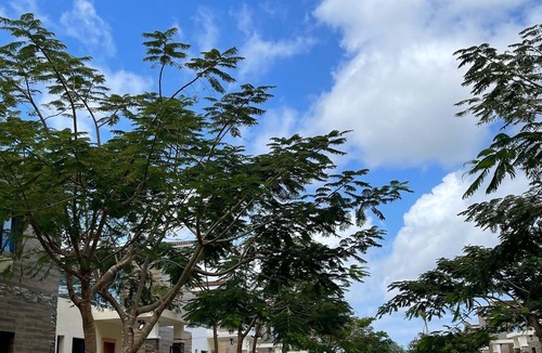 Veron House | Villa Punta Cana secure residence with swimming pool