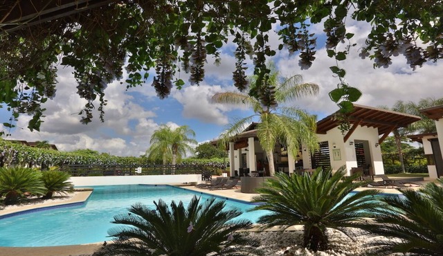 1. Comfortable 1 bedroom apartment with pool view