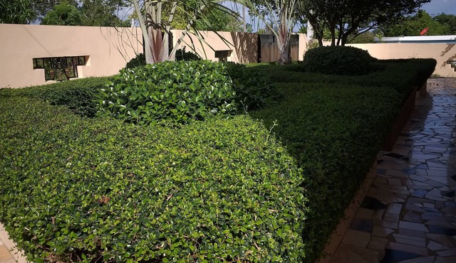 Apartamentos Nuevo Amanecer