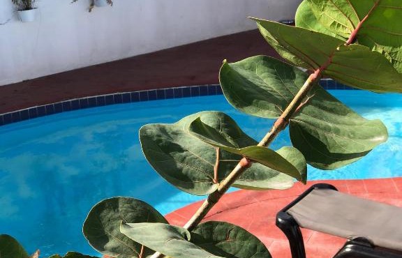Barlovento