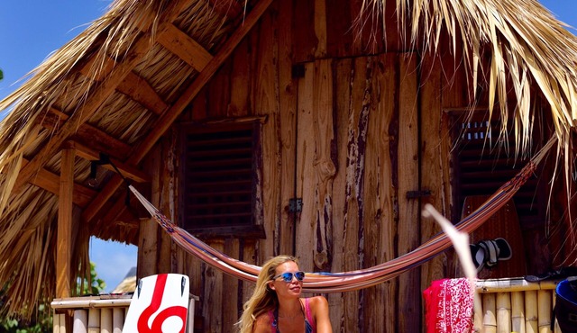 Beach Mansion 3 meters from the ocean, Kite School and Camp