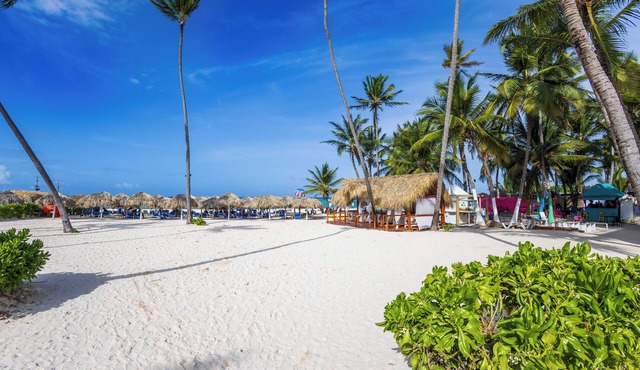 Beachfront 8BR Villa with Pool & Maid