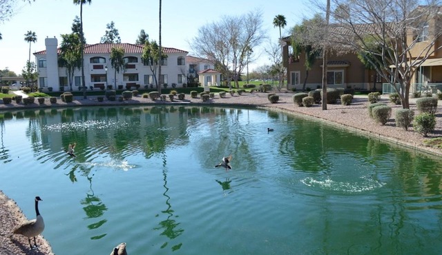 BEAUTIFUL LAKE FRONT CONDO VIEW - Mesa, AZ - 3 Bedrooms - 2 Baths - (Sleeps 6) in Mesa