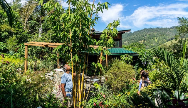 Beautiful Quintas del Bosque villa with hikes, gardens & a place for relaxation.