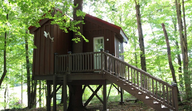 Big Hollow Board and Batten House with Nerf Treehouse! in Maplecrest