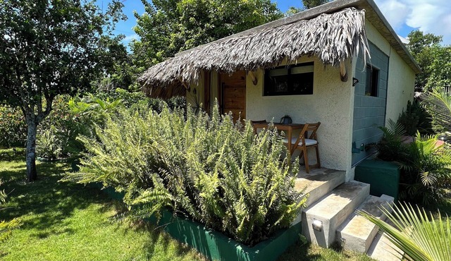 Boho CHIC cottage minutes away from the best beaches of Samana (own cliff).